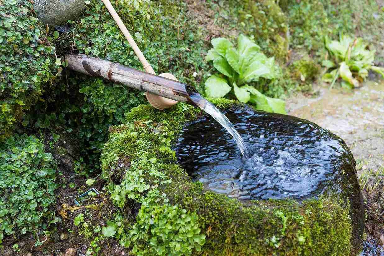 View of How to Set Up Your Own Off-Grid Water System - Survival Reflex